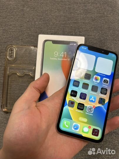 iPhone X, 256 ГБ