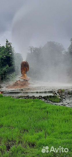 Индивидуальные Экскурсии по Абхазии