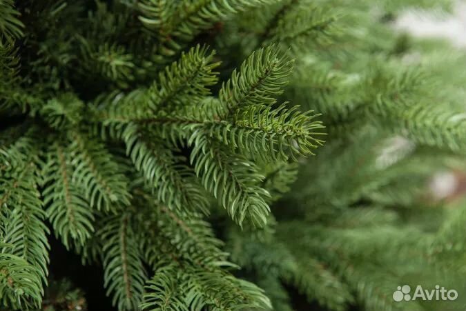 Ель искуственная литая 240см