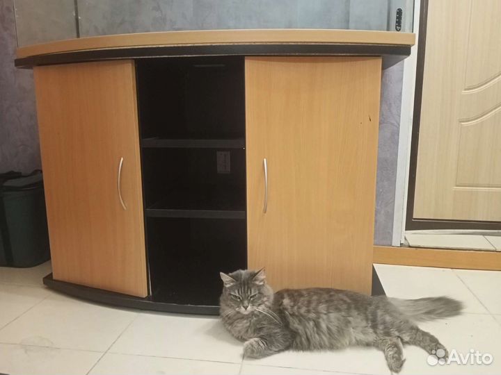 Аквариум 270 литров с тумбой BioDesign