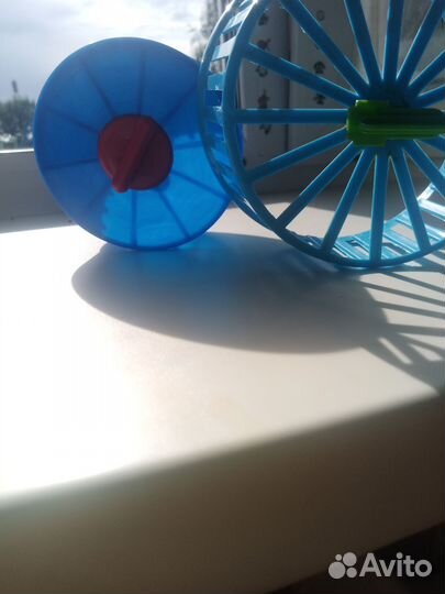 Беговые колёса для хомячков