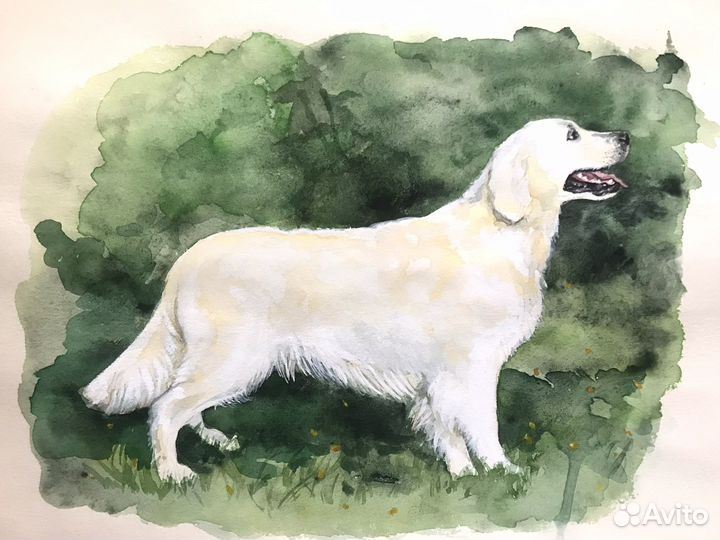 Портрет питомца по фото