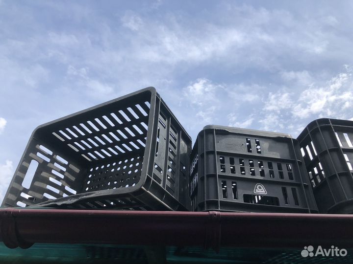 Пластиковые ящики бу