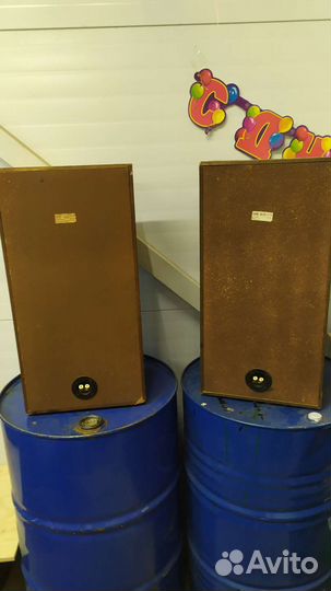 Колонки 35ас-1