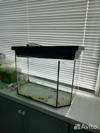 Аквариум