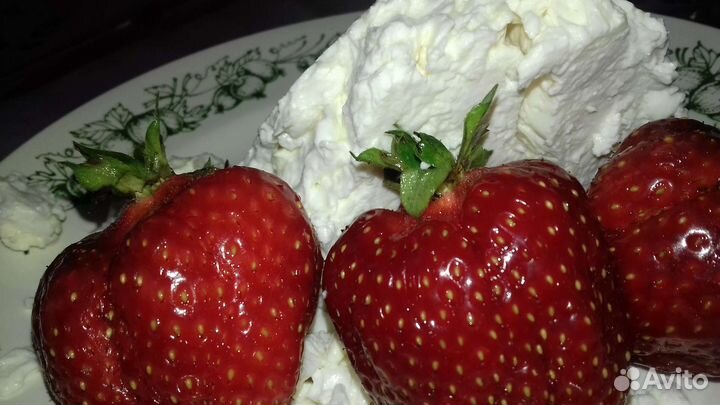 Клубника. Рассада