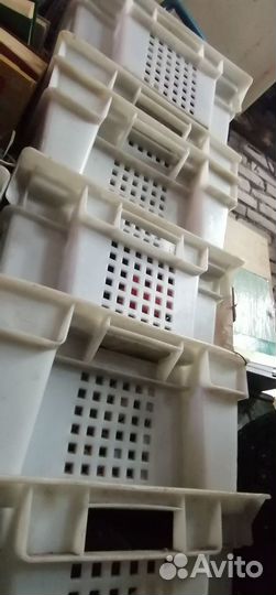 Ящик для овощей