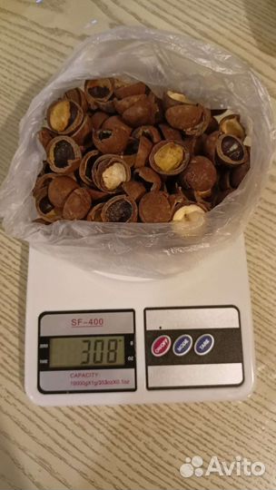 Скорлупа ореха макадамия