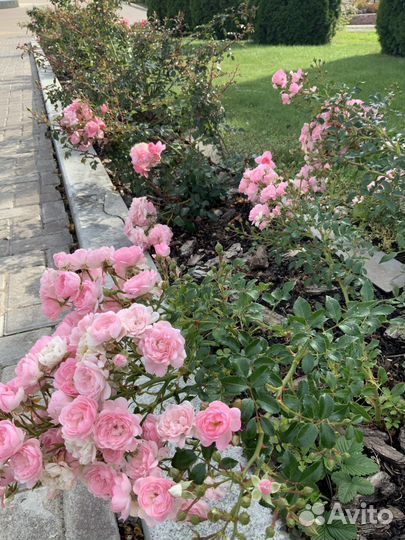 Экскурсия по селу Винновка