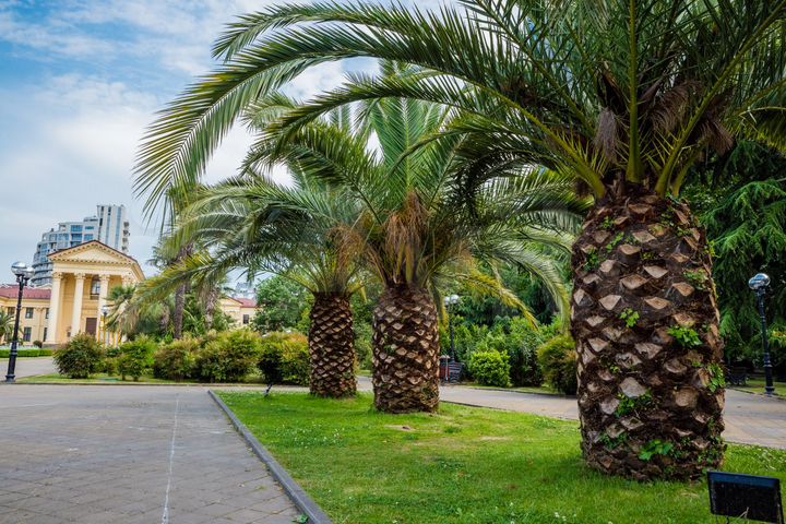 2-к. квартира, 45 м², 3/5 эт.