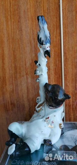 Медведь и сорока торг