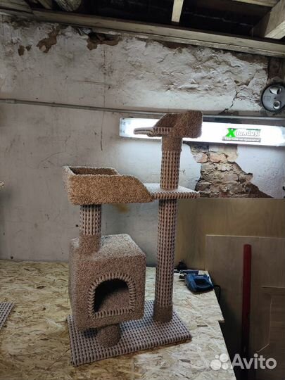 Когтеточки для кошек и котят