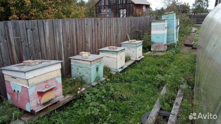 Весь необходимый инвентарь для пчеловодства
