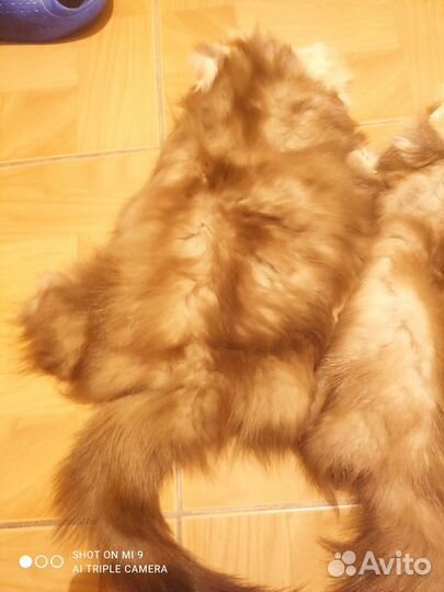 Шкурки куницы