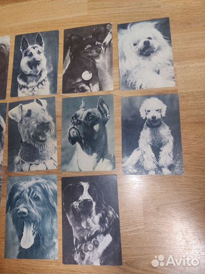 Открытка СССР 1969