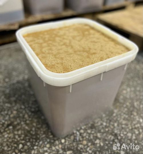 Гречишный мед опт