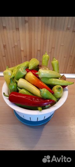 Рассада помидор и перца сладкого, острого