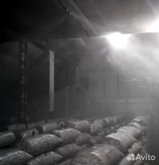 Увлажнитель воздуха для выращивания грибов