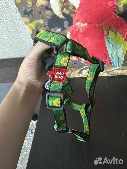 Нлвая Шлейка для собак средних пород
