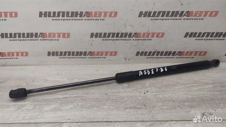 Амортизатор крышки багажника Volkswagen Passat B6