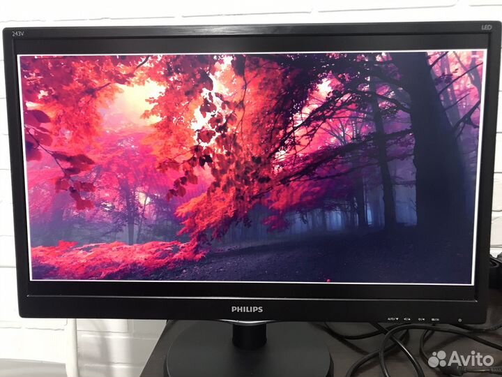 Монитор Philips 24