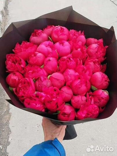 Пионы с доставкой по Москве и области