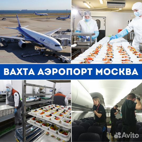 Обработчик ланч боксов в Аэропорт /Вахта Москва