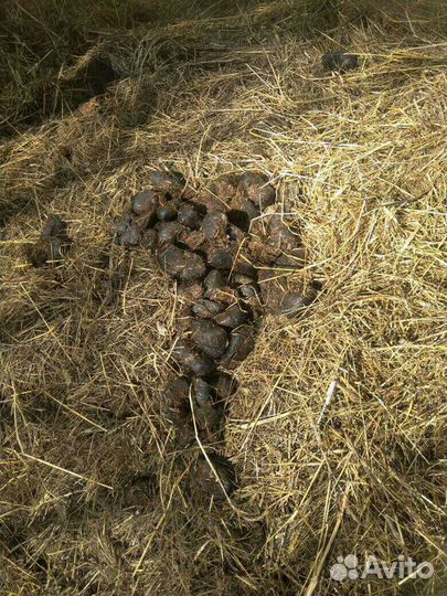 Конское удобрение