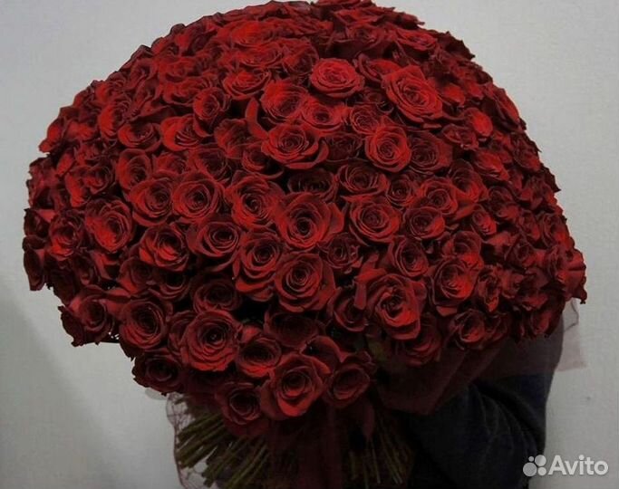 51 Роза, Букеты Цветы Розы 25 101 501 1001