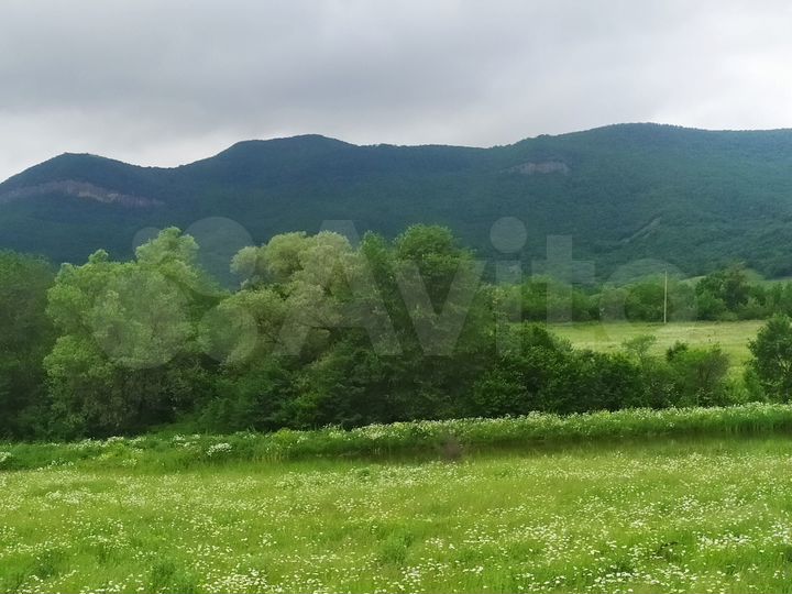 Участок 1,51 га (СНТ, ДНП)