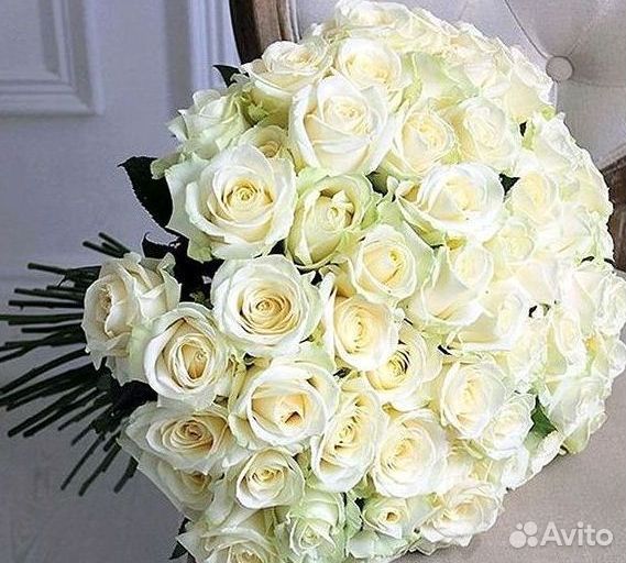 101 Роза Цветы Букеты 51 25 Роз Доставка