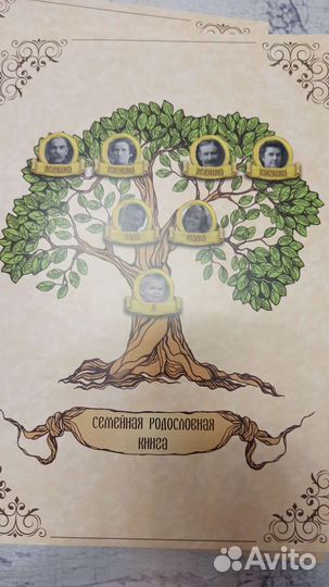 Альбом Родословная