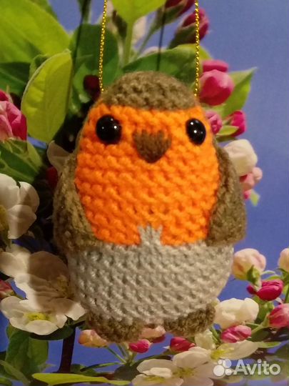 Птичка. Зарянка. Малиновка