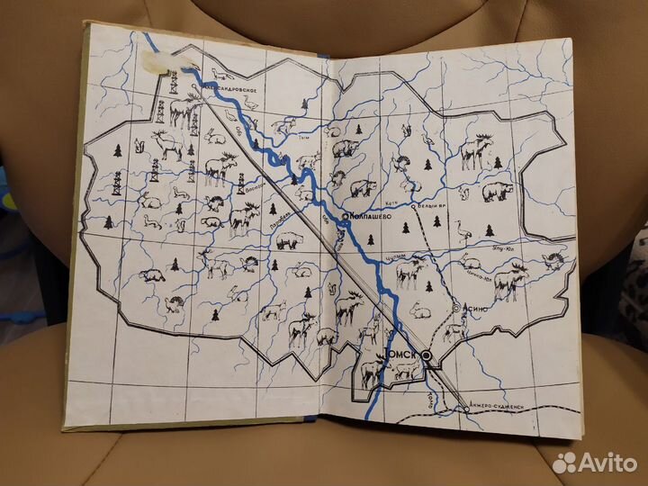 Родной край. Томск