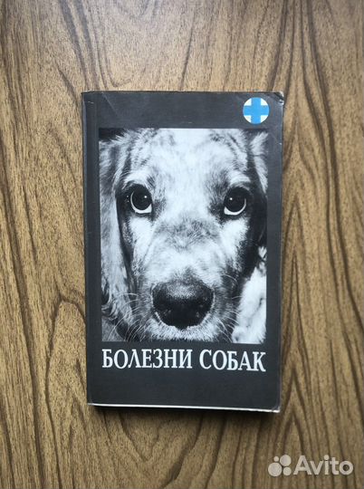 Античный мир и археология, выпуск 7