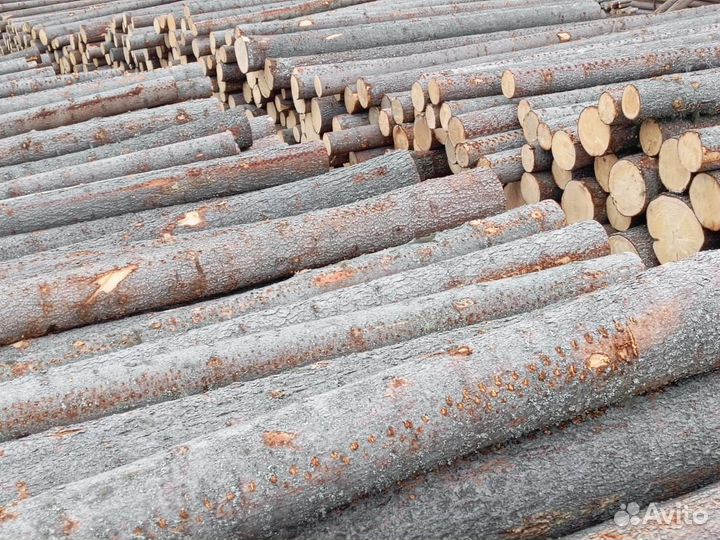 Лес кругляк пиловочник