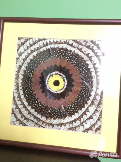 Панно декоративное из крыльев бабочек