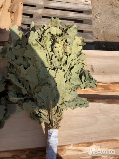 В наличии Веники дубовые