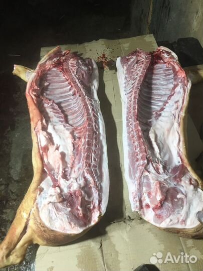 Мясо свинина домашняя