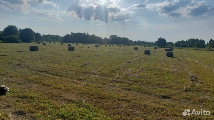 Продаю сено в рулонах