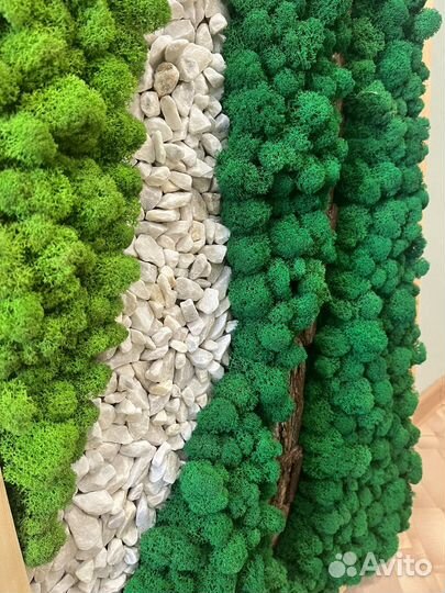 Панно со мхом и камнями