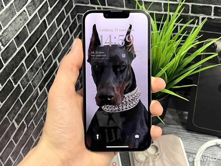 iPhone 13 Pro Sim/eSim Graphite