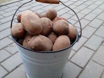 Стол для сортировки картофеля своими руками