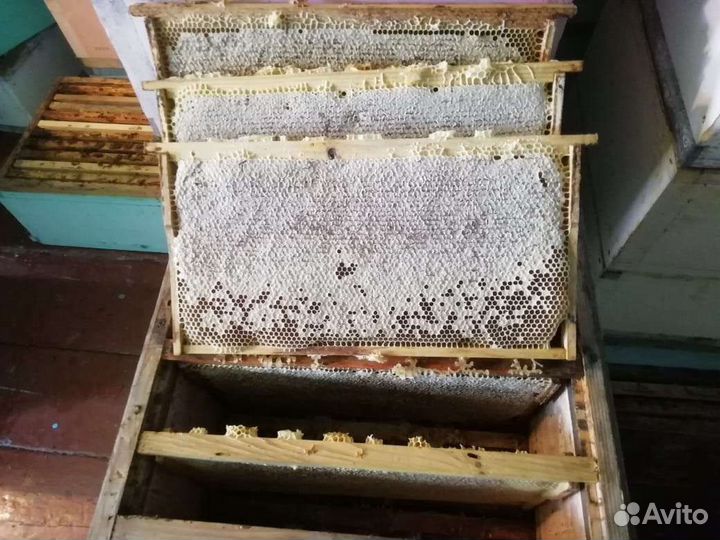 Цветочный Мёд из Цветковки