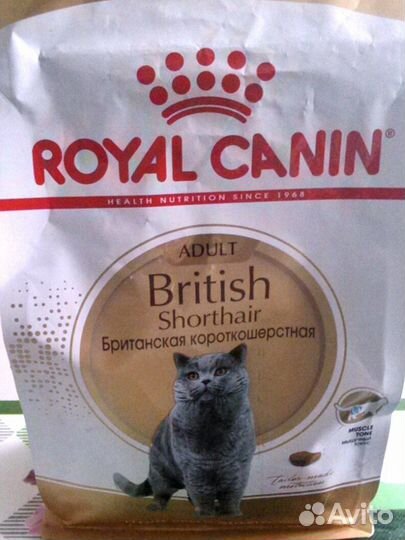 Корм сухой Royal Canin 4 кг для Британских кошек