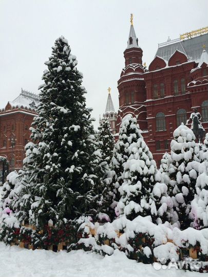 Москва Топ-Экскурсия Вокруг Кремля— групповая экск