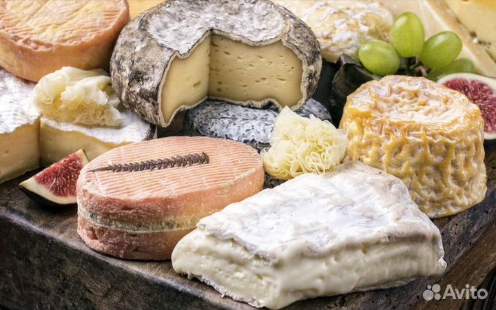 Сыры мягкие оптом