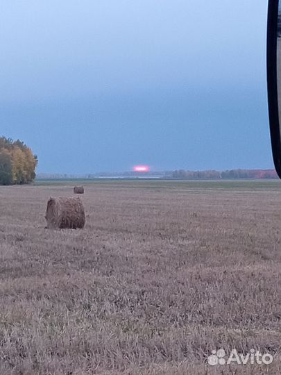 Сено / Солома