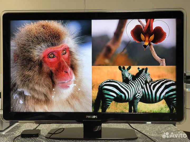 Телевизор philips 42