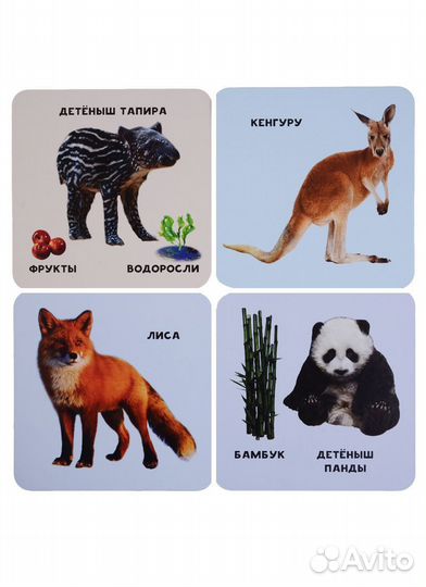 Развивающая игра 